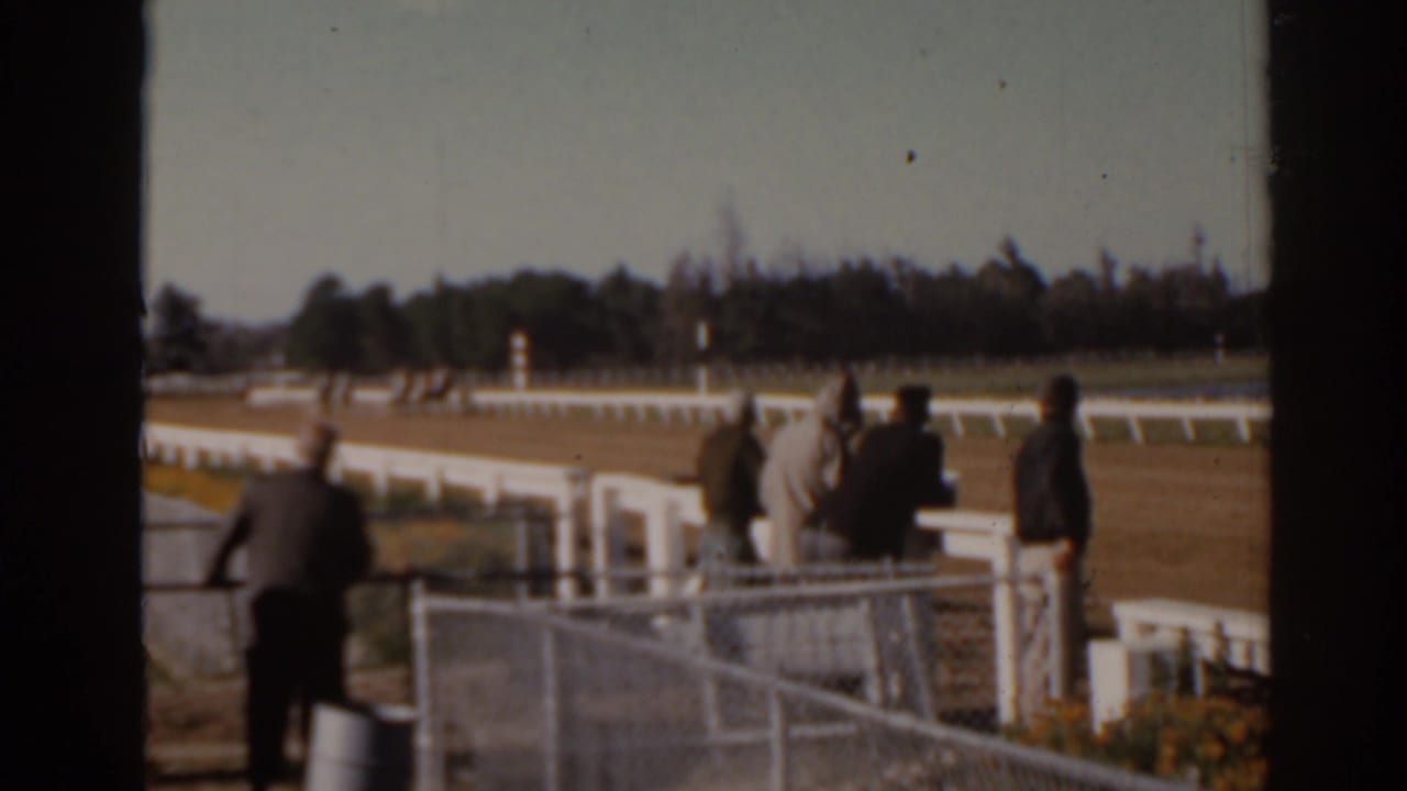 Spectators stand behind white rail fencing beside a racetrack.