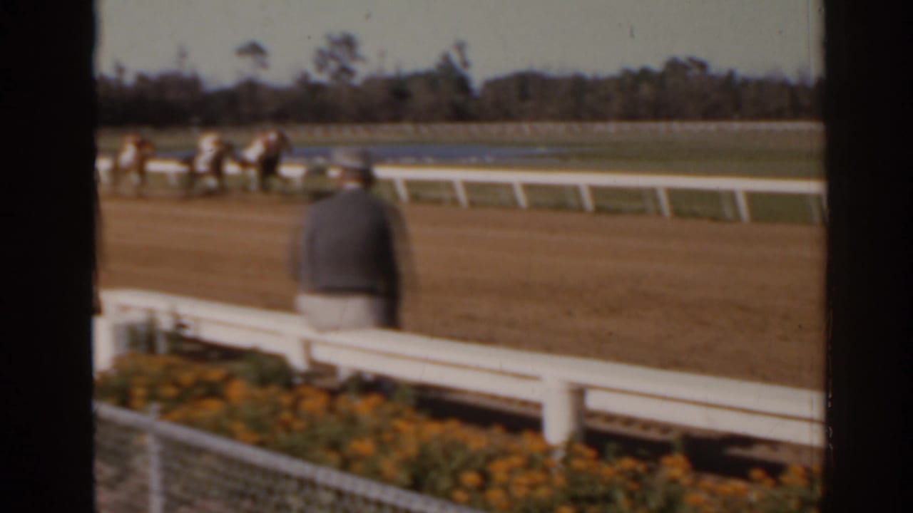 A spectator faces the track while horses run beyond the rail.
