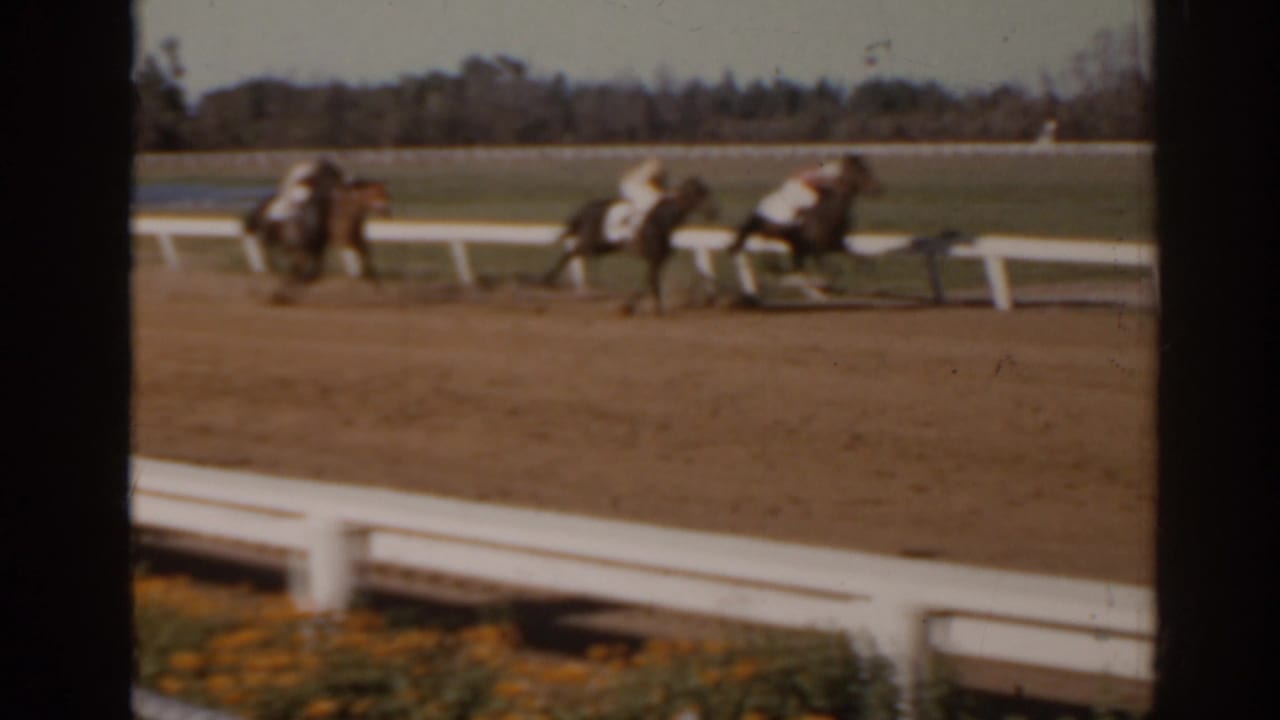 Jockeys ride horses around a Florida dirt racetrack in a soft, handheld 8mm frame from 1962.
