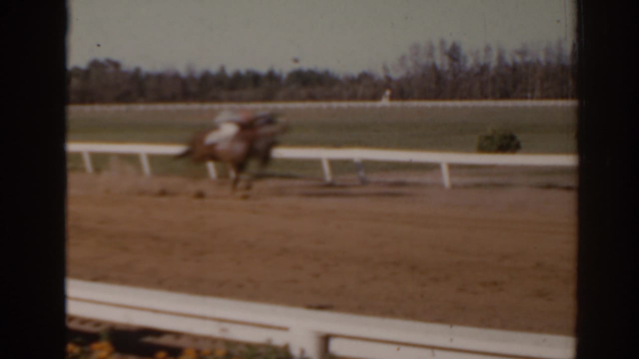 A horse and jockey pass quickly in motion blur on a 1962 Florida racetrack, with railings and trees behind.