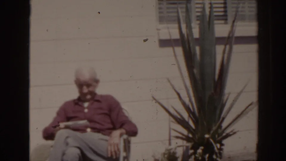 1962 Florida garden scene with an older man reading a newspaper in a chair, partly framed by a large yucca-like plant.