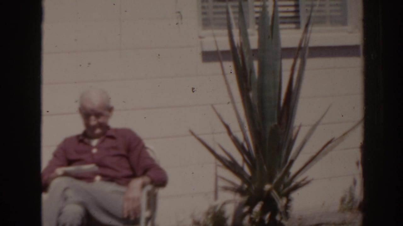 Elderly man seated beside a spiky plant outside a light-colored house.