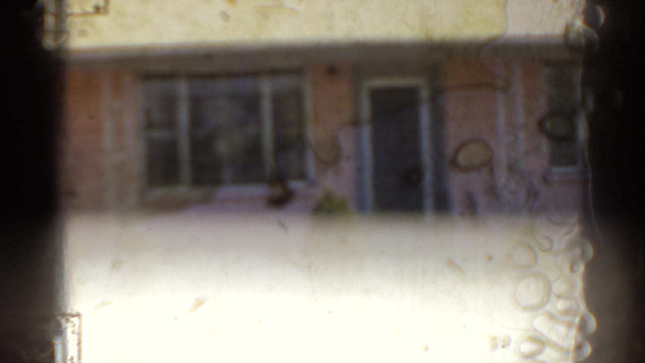 1962 Florida home-movie frame showing a pink house facade with a blue door, windows, and small shrubs, softened by film wear.