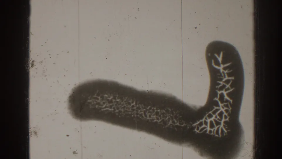 Damaged Super 8 frame with a dark burn-like form, branching pale cracks, dust, and vertical film marks.