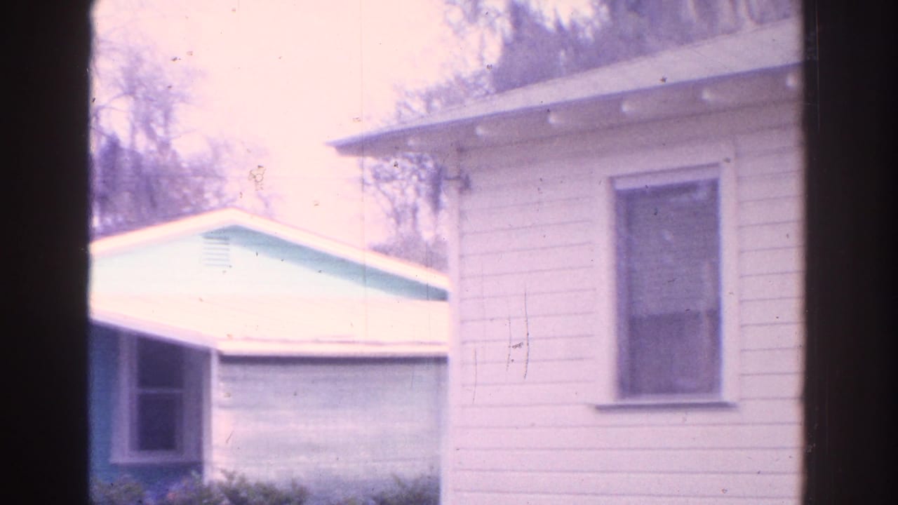 White-sided house and pale blue outbuilding fill the frame.
