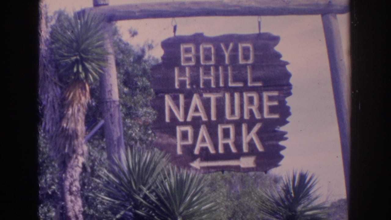 Wooden Boyd H. Hill Nature Park sign hangs beside palm-like plants.