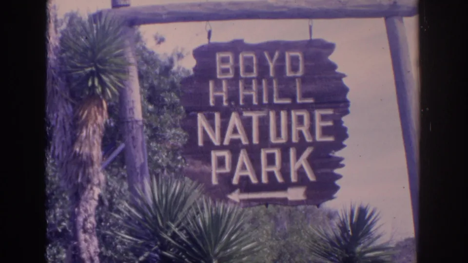 Boyd H. Hill Nature Park sign appears in Florida 1962 home-movie footage, framed by palm-like plants and trees.