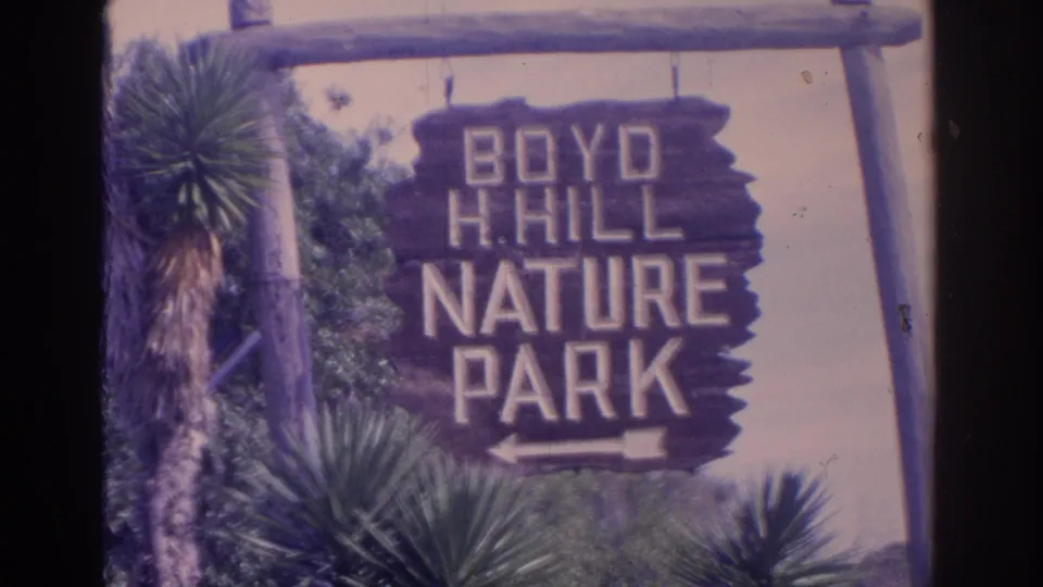 Close view of the Boyd H. Hill Nature Park sign in Florida, with palm-like foliage and a wooden support visible.