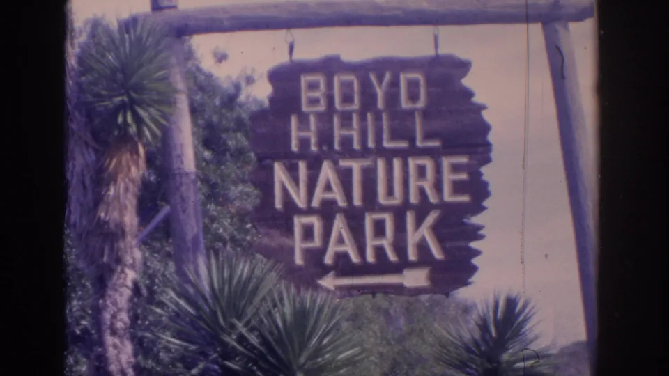 The Boyd H. Hill Nature Park sign remains centered in a 1962 Florida home-movie frame with dense greenery around it.
