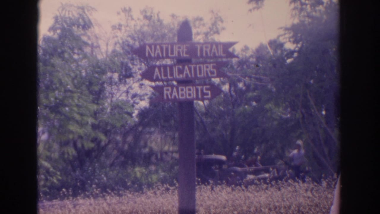 1962 Florida 8mm frame showing a rustic wooden sign for a nature trail, alligators, and rabbits in a wooded outdoor setting.