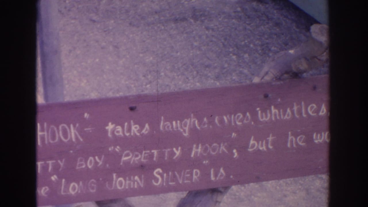 1962 Florida home-movie frame with a green parrot in a wire cage beneath a hand-lettered wooden sign.