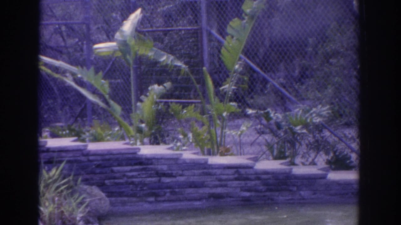 Landscaped enclosure area with plants, stone edging, chain-link fencing, and dark film-frame borders.