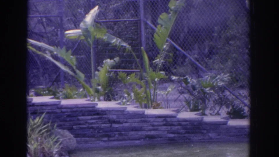 1962 Florida 8mm frame showing planted foliage, stone edging, fencing, and a partial view of the deer enclosure from behind a barrier.