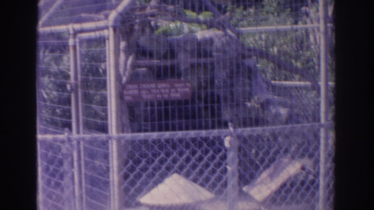 Caged bird exhibit with sign, fencing, rocks, and leafy background.