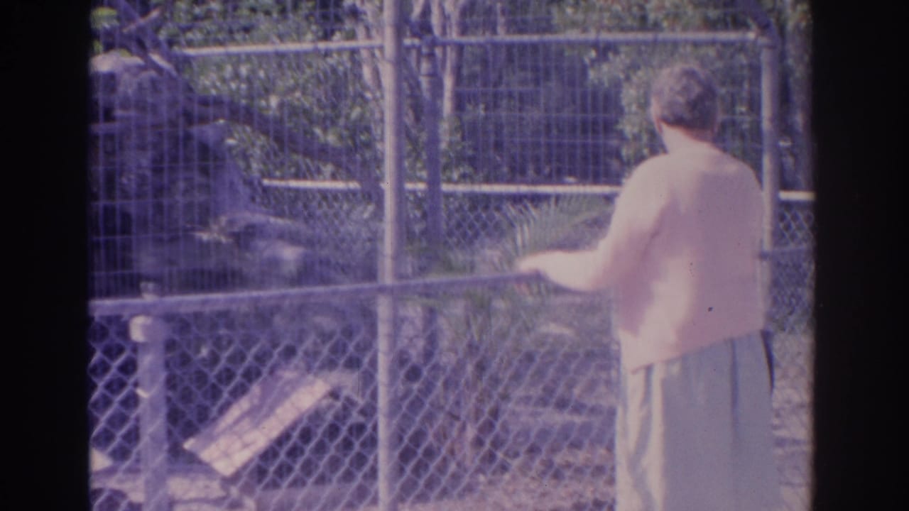Woman in a pink sweater stands by a chain-link fence near greenery.