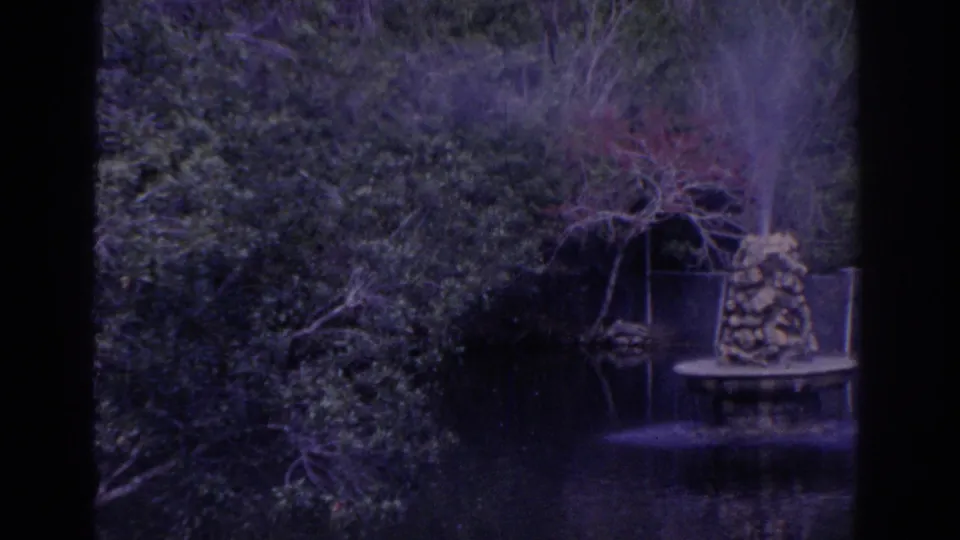 1962 Florida 8mm frame of a shaded park or zoo water feature with dense greenery, potted planting, and a small stone fountain.