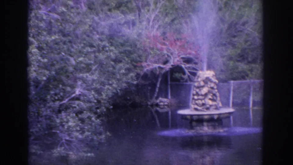 1962 Florida 8mm frame showing a small stone fountain near water, with shrubs and a potted plant in a park or zoo landscape.