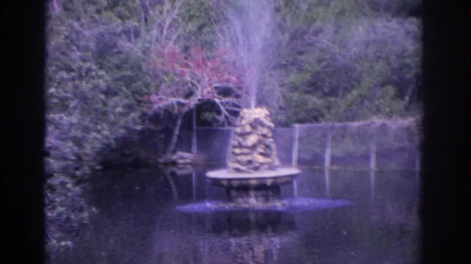 1962 Florida 8mm frame with a stone fountain, reflective water, thick greenery, and a potted plant in a park-like setting.