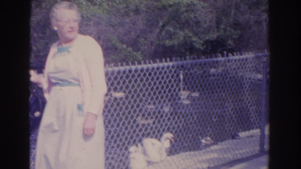 Older woman in a light dress and cardigan stands near a fenced pond area with ducks or swans in the background.