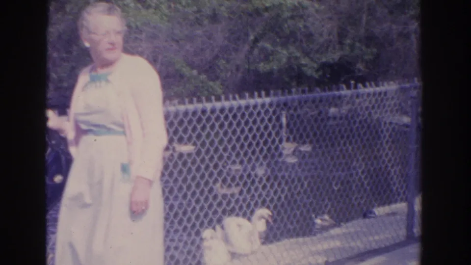 Older woman in a light dress and cardigan stands near a fenced pond area with ducks or swans in the background.