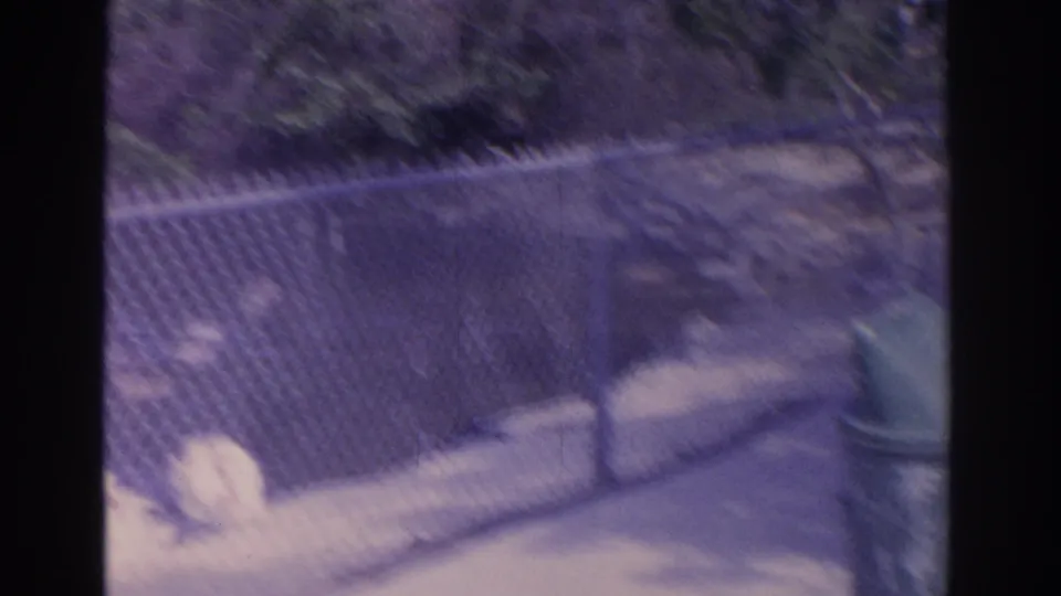 Handheld 8mm frame showing a fenced waterfowl area with white birds and a walkway in a Florida outdoor setting.