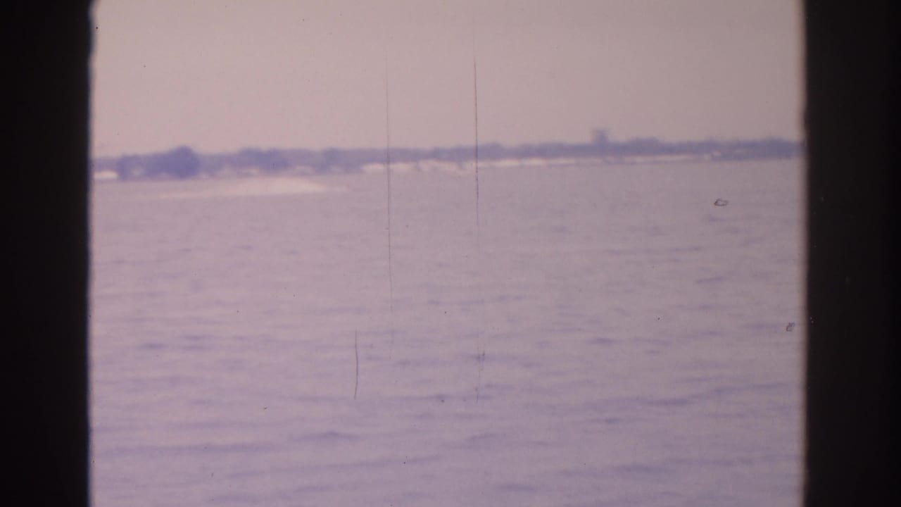 Open water with a far tree line and dark vertical frame edges.