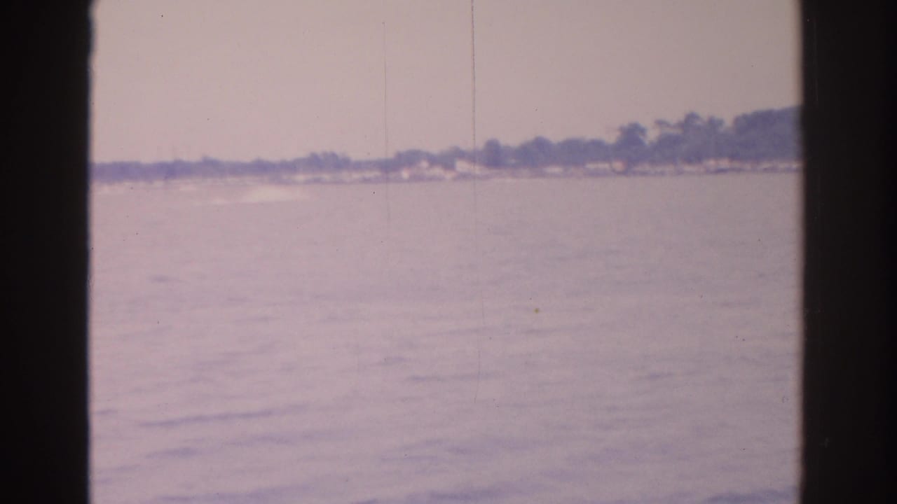 Calm water facing a distant tree-lined shoreline with small pale structures.