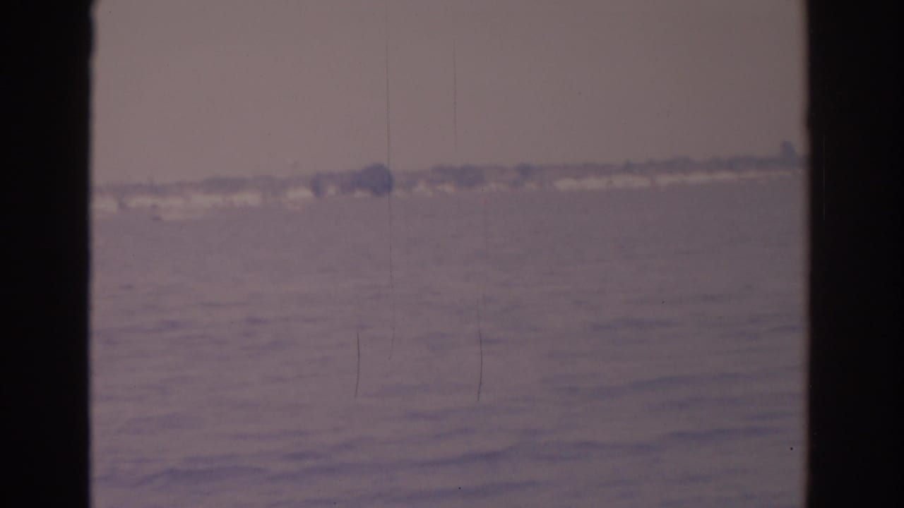 Open water and a blurred shoreline with dark frame borders at the sides.