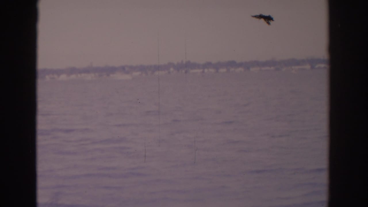 1962 Florida 8mm frame showing calm water from a vessel or window, with a hazy shoreline and a small dark speck above the horizon.