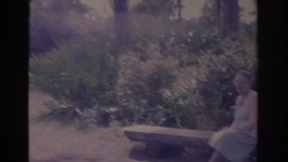 In 1962 Florida, a woman in a blue dress and light cardigan sits on a grey stone bench in a sunny garden area.