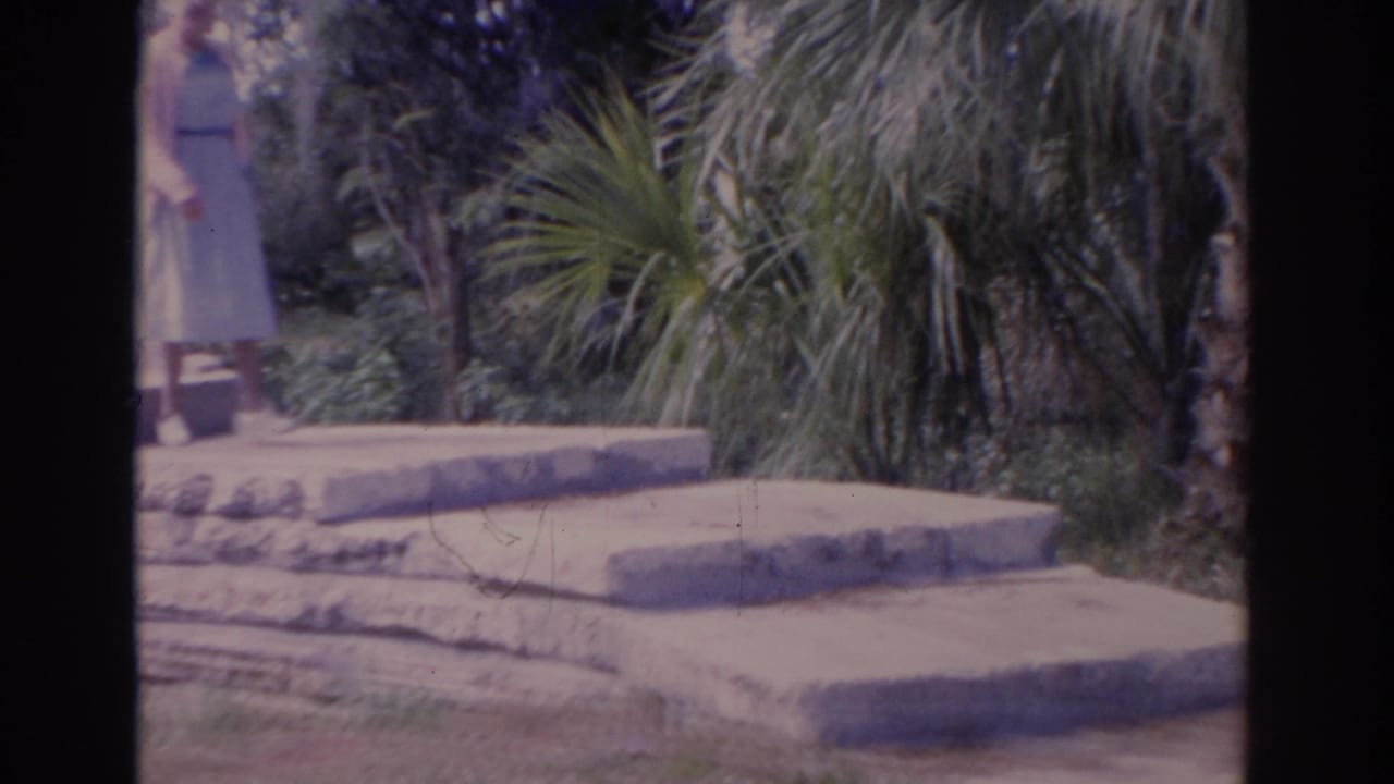 Stone steps and palms with a woman partly visible at the left edge.