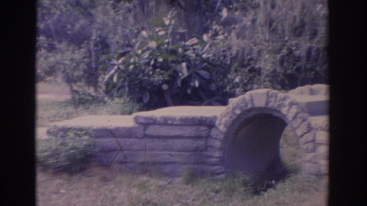 1962 Florida 8mm frame showing a small stone arch bridge, garden wall, shrubs, lawn, and hanging moss in a landscaped lakeside area.