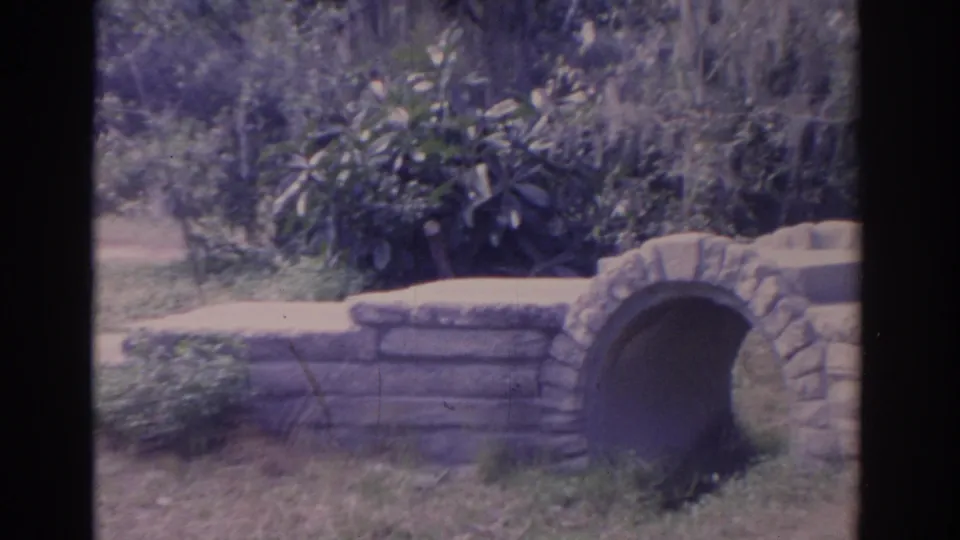 1962 Florida 8mm frame showing a small stone arch bridge, garden wall, shrubs, lawn, and hanging moss in a landscaped lakeside area.