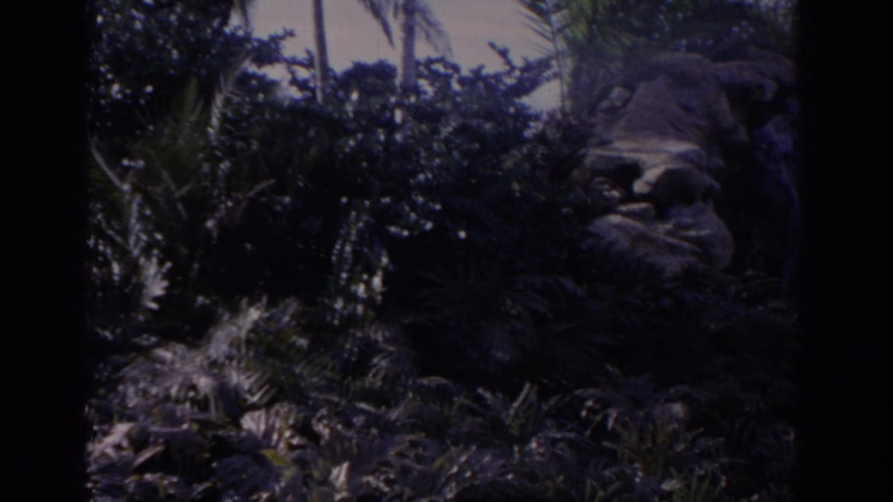Dark view of a rock face surrounded by dense foliage.
