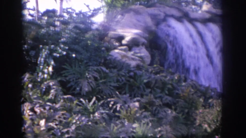 1962 Florida 8mm frame showing a landscaped waterfall, rocks, and thick vegetation from a visitor-shot viewpoint.