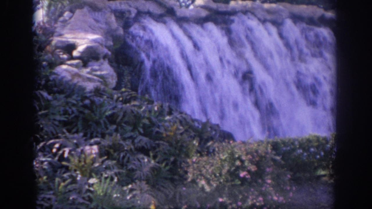 1962 Florida 8mm frame showing a cascading garden waterfall with dense foliage and low hedges in the foreground.