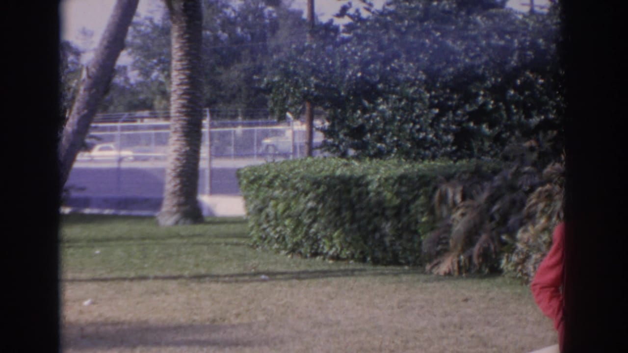 Garden lawn, hedge, palm trunk, road, and partial red-coated figure at the edge.