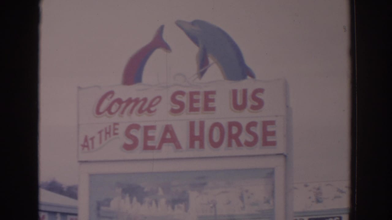 1962 Florida home-movie frame showing a Sea Horse sign with dolphin figures and faded color from the 8mm scan.