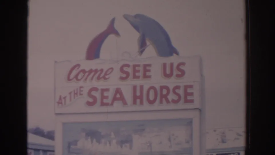 1962 Florida home-movie frame showing a Sea Horse sign with dolphin figures and faded color from the 8mm scan.