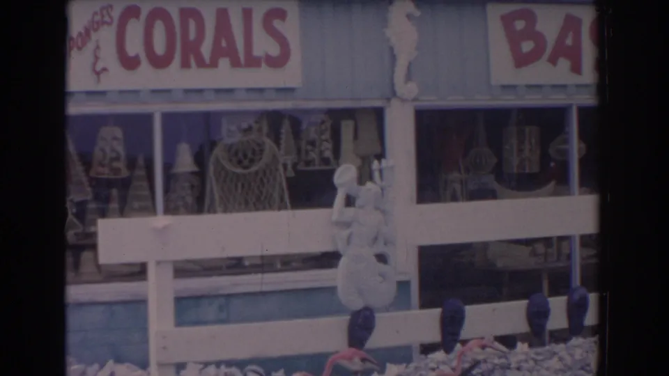 Florida souvenir storefront with coral and basket signage, a white fence, hanging decor, and marine-themed display pieces.