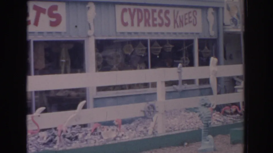 1962 Florida home-movie frame centered on the CYPRESS KNEES sign, with souvenir-shop windows and a fenced display of flamingos and seahorse ornaments.