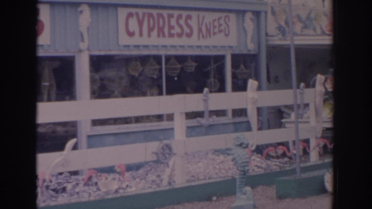 Storefront with Cypress Knees sign above shell displays and a white fence.