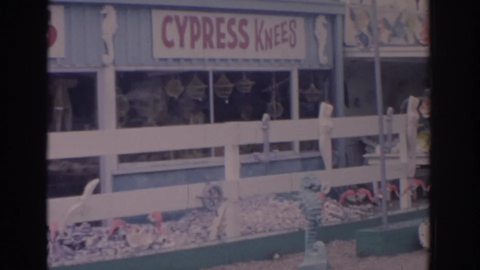 1962 Florida 8mm frame showing a Cypress Knees storefront sign, seahorse decoration, shell displays, and white fencing.