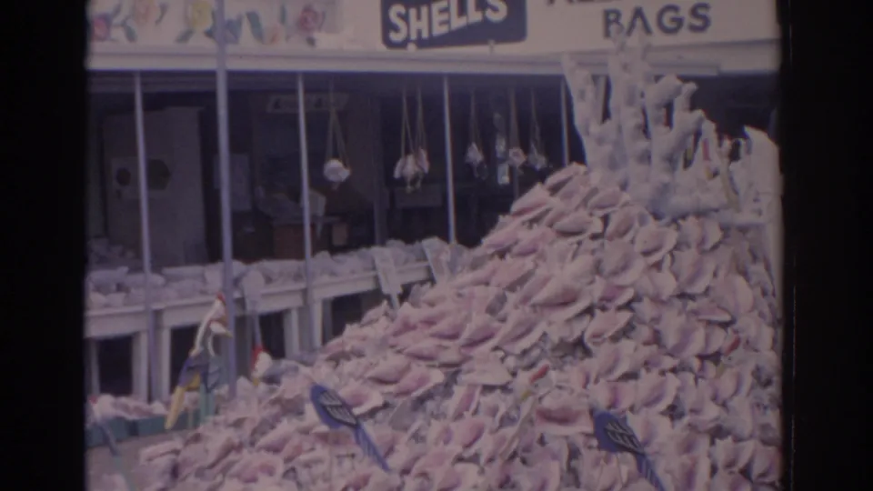 1962 Florida 8mm frame showing a large shell pile outside a shop with Shells and Bags signage visible above the windows.