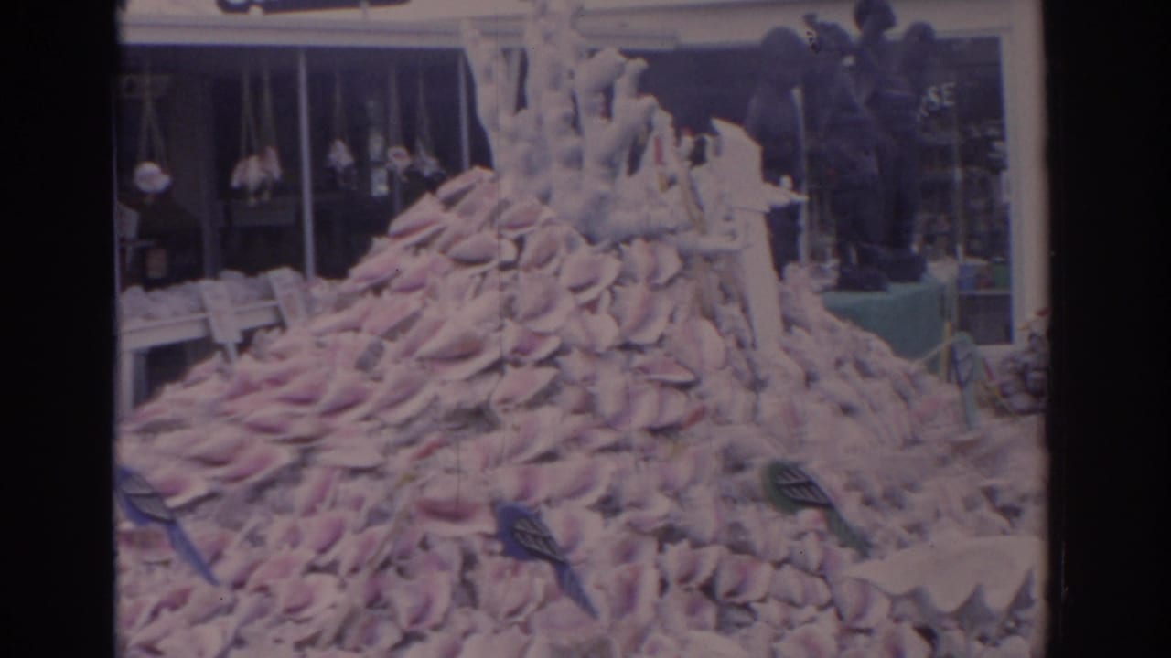 1962 Florida home-movie frame showing large pink conch shells piled outside a market storefront with other shell souvenirs nearby.
