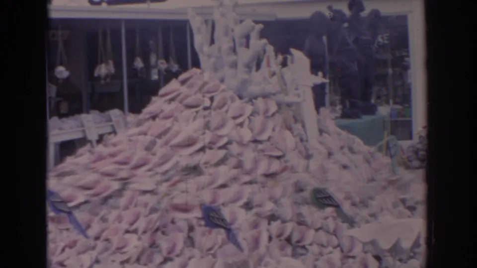 1962 Florida home-movie frame showing large pink conch shells piled outside a market storefront with other shell souvenirs nearby.
