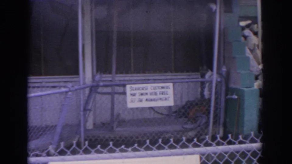 1962 Florida home-movie frame showing a fenced animal enclosure and a small caution sign near a screened structure.