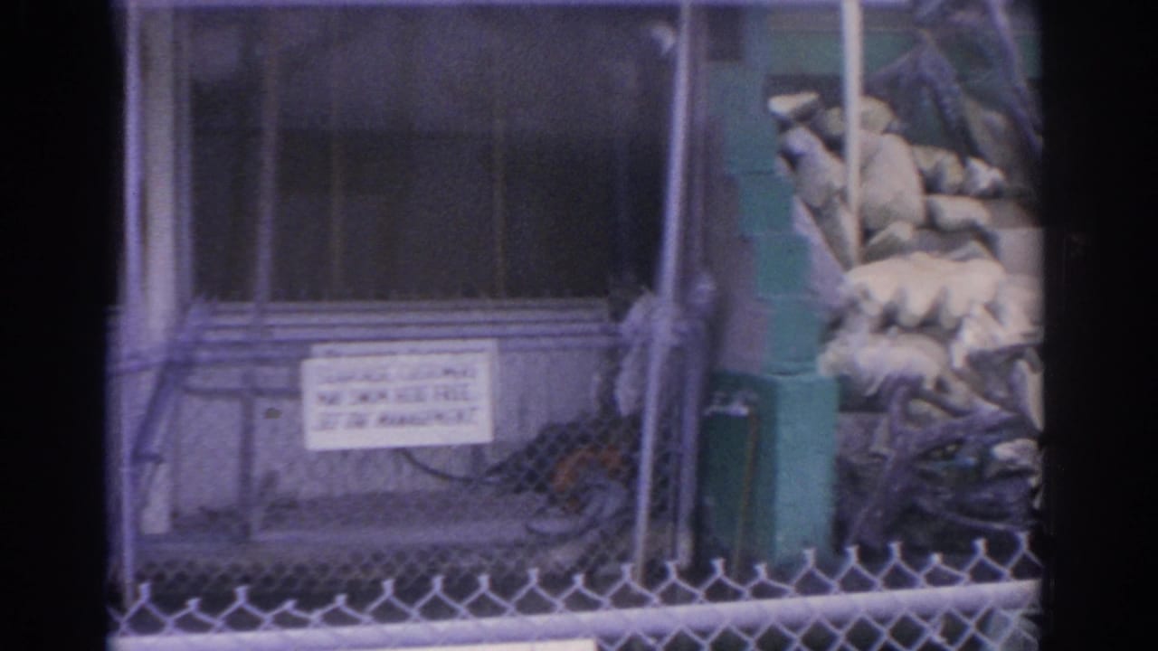 1962 Florida 8mm frame showing a shell display behind chain-link fencing near a shop window, with a partial customer sign visible.