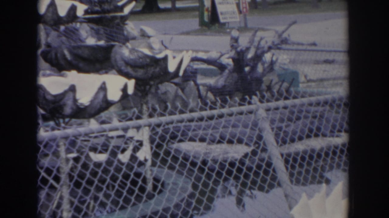 Chain-link fence in front of pale alligator bags displayed on stands near roadside signs.