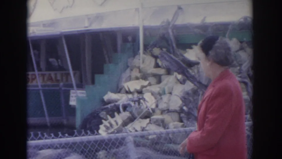 A profile view shows the woman in red looking toward the fenced zoo display of bones in the 1962 Florida home-movie footage.